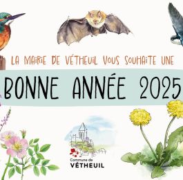 Vœux 2025 -1