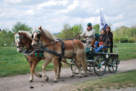 Journée nationale de l'attelage