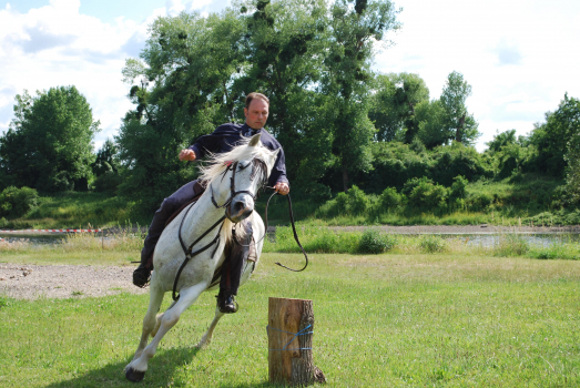 Les camarguais au bord de Seine en 2009