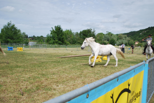 Week-end animé à Vétheuil