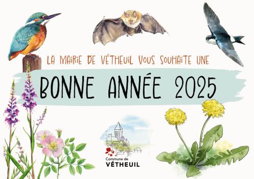 Vœux 2025 -1