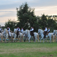 La parade des Camarguais