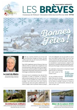 Page de couverture - Brèves 113